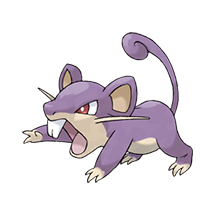 imagem Rattata